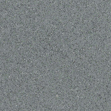 Load image into Gallery viewer, Polysafe Standard PUR Care Home Flooring