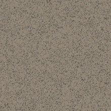 Load image into Gallery viewer, Polysafe Standard PUR Hospital Flooring