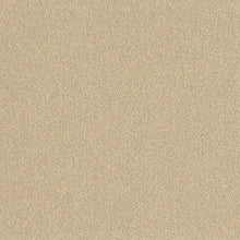Load image into Gallery viewer, Altro Pisces Safety Flooring