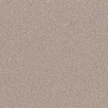 Load image into Gallery viewer, Altro Pisces Safety Flooring