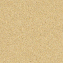 Load image into Gallery viewer, Altro Pisces Safety Flooring