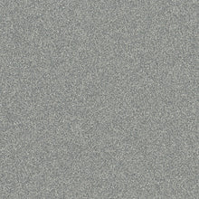 Load image into Gallery viewer, Altro Pisces Safety Flooring