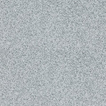 Load image into Gallery viewer, Altro Walkway 20 Retail Flooring