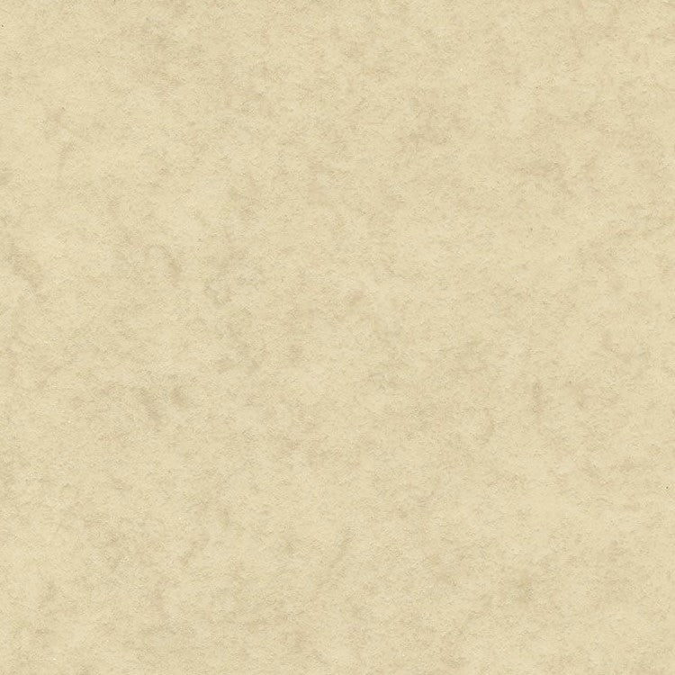 Polysafe Arena Crema Nova 5090 (6m x 2m) JR Flooring Direct