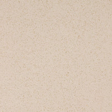 Load image into Gallery viewer, Altro Walkway 20 Kitchen Flooring
