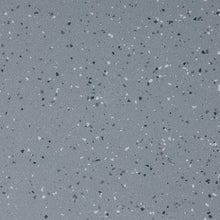 Load image into Gallery viewer, Altro Walkway 20 Van Flooring