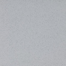 Load image into Gallery viewer, Altro Walkway 20 Van Flooring