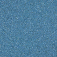 Load image into Gallery viewer, Altro Walkway 20 Van Flooring