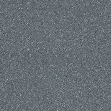 Load image into Gallery viewer, Altro Walkway 20 Van Flooring