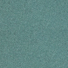 Load image into Gallery viewer, Altro Walkway 20 Care Home Flooring