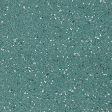 Load image into Gallery viewer, Altro Walkway 20 Care Home Flooring