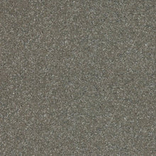 Load image into Gallery viewer, Altro Walkway 20 Kitchen Flooring