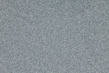 Load image into Gallery viewer, Altro Walkway 20 Care Home Flooring