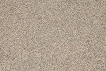 Load image into Gallery viewer, Altro Walkway 20 Care Home Flooring