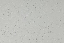 Load image into Gallery viewer, Altro Walkway Plus Care Home Flooring