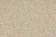 Load image into Gallery viewer, Altro Walkway 20 Van Flooring