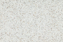 Load image into Gallery viewer, Altro Walkway 20 Van Flooring