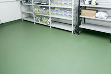 Load image into Gallery viewer, Altro Walkway Plus Safety Flooring