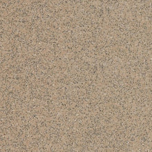 Load image into Gallery viewer, Altro Walkway 20 Safety Flooring