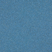 Load image into Gallery viewer, Altro Walkway 20 Safety Flooring