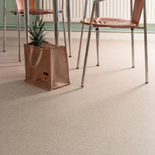 Load image into Gallery viewer, Tarkett Safetred Spectrum Safety Flooring