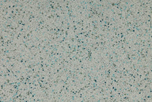 Load image into Gallery viewer, Altro Impressionist II Flooring