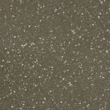 Load image into Gallery viewer, Altro Walkway 20 Safety Flooring