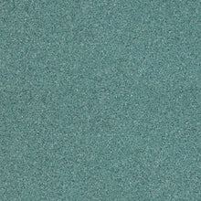 Load image into Gallery viewer, Altro Walkway 20 Safety Flooring