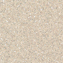 Load image into Gallery viewer, Tarkett Safetred