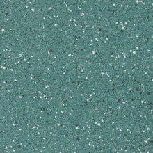 Load image into Gallery viewer, Altro Walkway 20 Safety Flooring