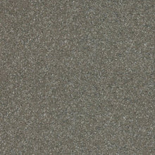 Load image into Gallery viewer, Altro Walkway 20 Safety Flooring