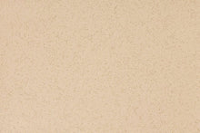 Load image into Gallery viewer, Altro Walkway Plus Safety Flooring