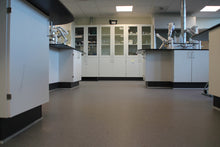 Load image into Gallery viewer, Altro Walkway 20 Safety Flooring