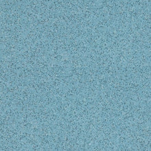 Load image into Gallery viewer, Altro Walkway 20 Safety Flooring