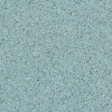 Load image into Gallery viewer, Tarkett Safetred Universal School Flooring
