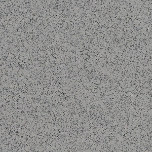 Polysafe Standard - Silver Birch 4020