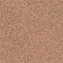 Load image into Gallery viewer, Polysafe Standard  PUR Care Home Flooring
