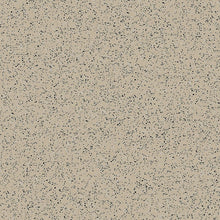 Load image into Gallery viewer, Polysafe Standard  PUR Care Home Flooring
