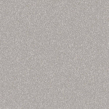 Load image into Gallery viewer, Altro Pisces Safety Flooring
