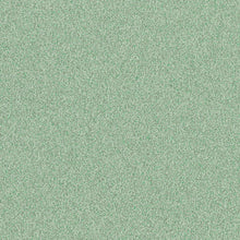 Load image into Gallery viewer, Altro Pisces Safety Flooring
