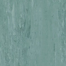 Load image into Gallery viewer, Polyflor XL PUR
