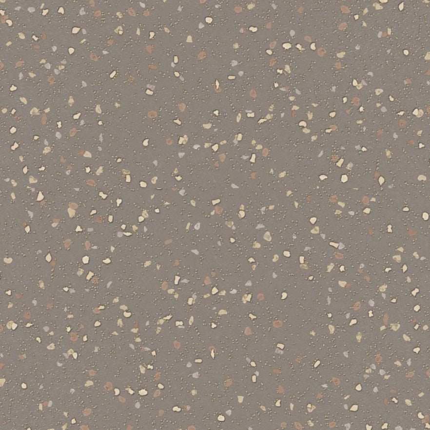 Altro Suprema - Coleus SYI20004 (2m x 2m)