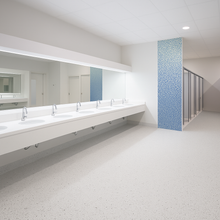 Load image into Gallery viewer, Tarkett Safetred Bathroom Flooring
