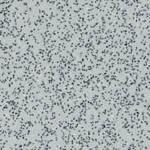 Load image into Gallery viewer, Altro Walkway 20 Van Flooring
