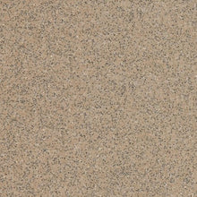 Load image into Gallery viewer, Altro Walkway 20 Van Flooring
