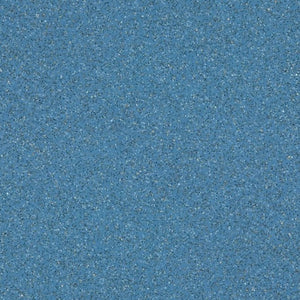 Altro Walkway 20 Van Flooring