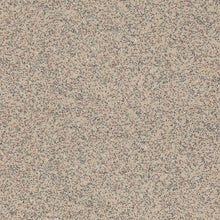 Load image into Gallery viewer, Altro Walkway 20 Care Home Flooring
