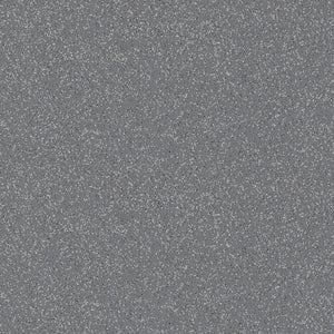 Altro Classic 25 - Graphite X2546R11 (2.8m x 2m)