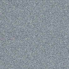 Load image into Gallery viewer, Altro Walkway 20 Van Flooring
