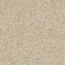 Load image into Gallery viewer, Altro Walkway 20 Care Home Flooring
